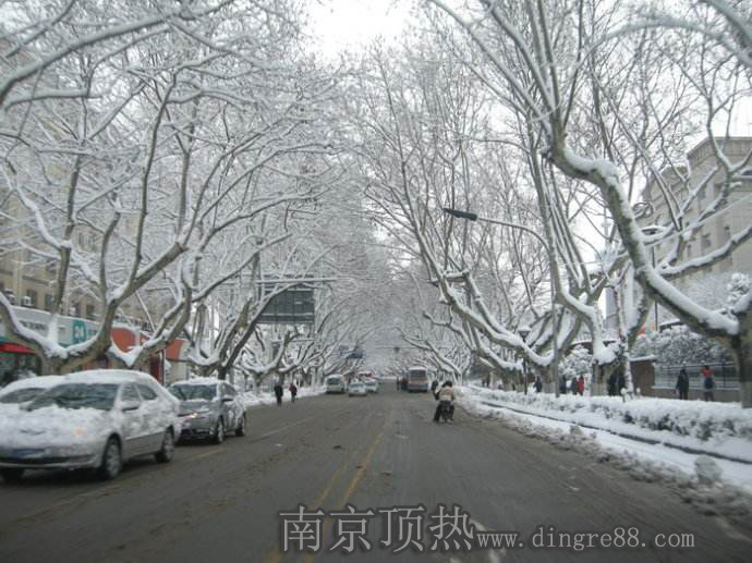 南京頂熱